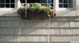siding2